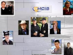 海军罪案调查处第十二至十四季/全集NCIS第14季 海军罪案调查处第十二至十四季/全集NCIS第14季