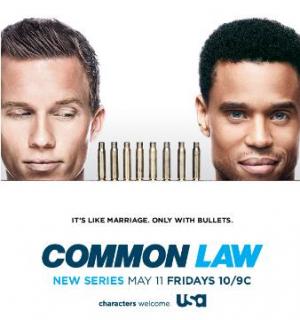 共同法则第一季/全集Common Law 共同法则第一季/全集Common Law