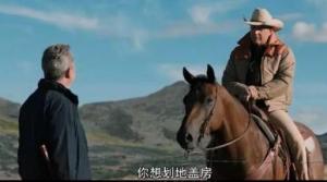 最后的敌人第一季/全集The Last Enemy 最后的敌人第一季/全集The Last Enemy